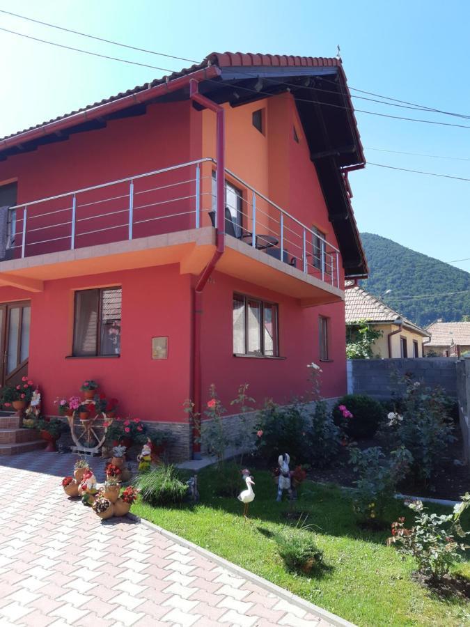 Vila Georgeta Zarnesti Exterior photo